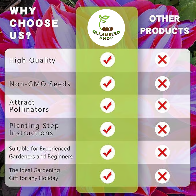 💰Special Offer [50% OFF] 🌿Rare Hosta Seeds