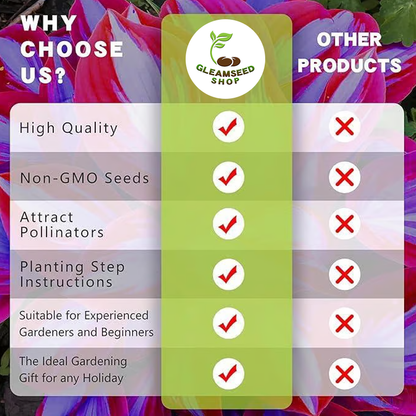 💰Special Offer [50% OFF] 🌿Rare Hosta Seeds