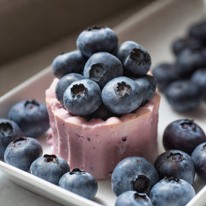 Sweet High BUSH Northern BLUEBERRY Heirloom NON-GMO USA SELLER!